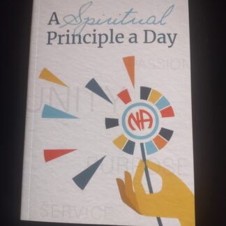 SPAD spiritual principle a day